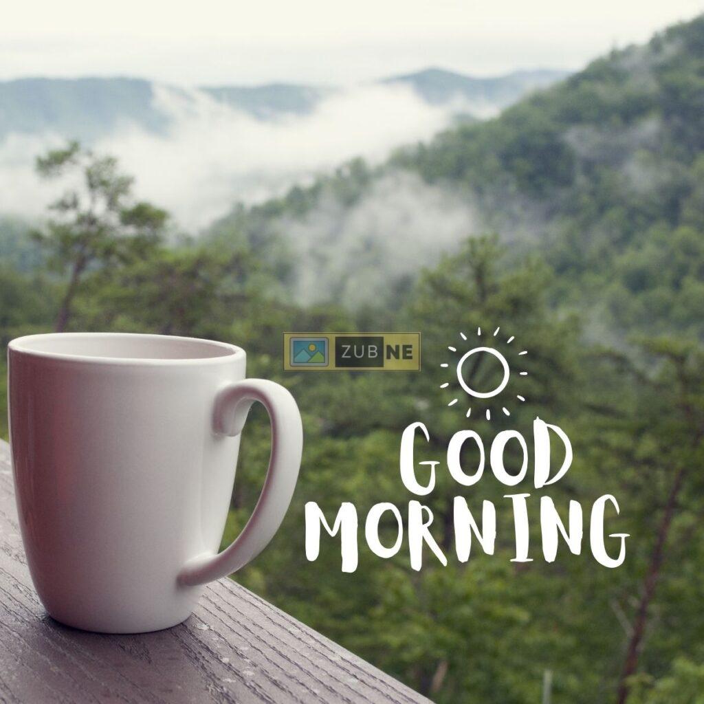 a cup of coffee sat on a table next to a deep dense forest, good morning image by zubne.com
