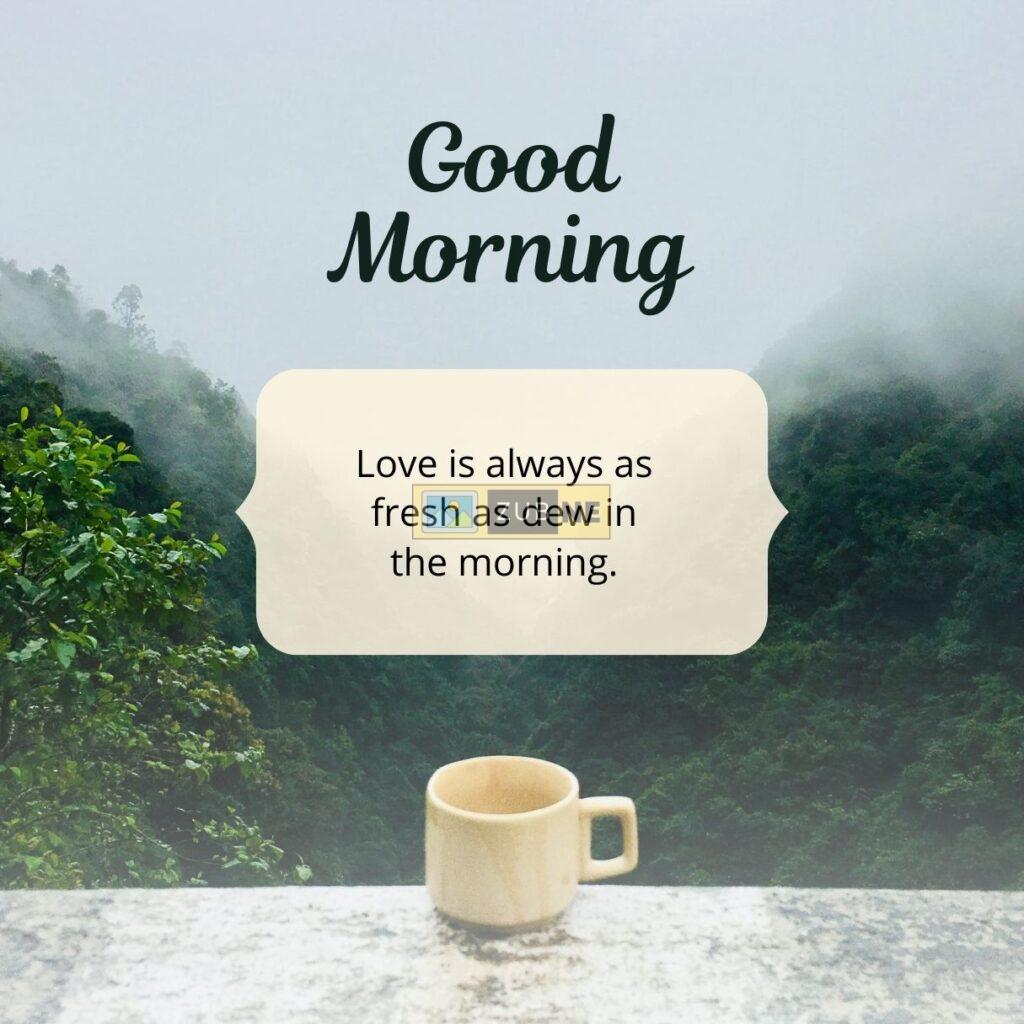 a cup of coffee sat on a table next to a deep dense forest with a good morning message, good morning image by zubne.com