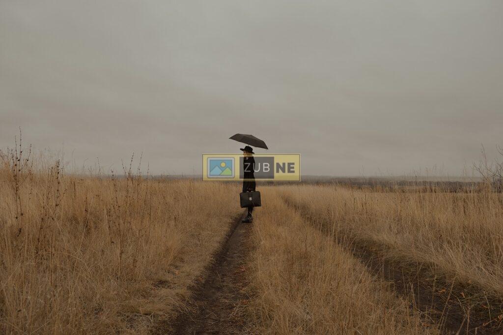 a man standing in the middle of a farm having an umberalla on his hand and a briefcase, sad images on zubne.com