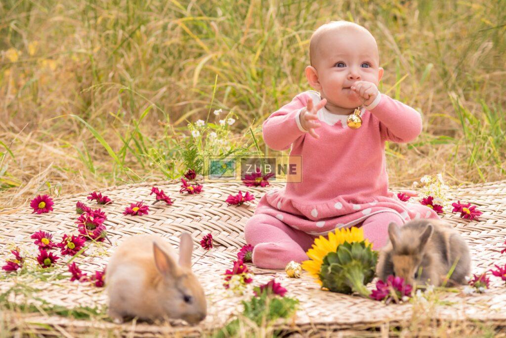 A small baby sitting in garden on a wooden sheet and wearing a pink colour dress